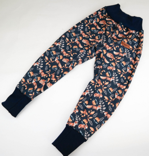 Spodnie softshell: Liski Spodnie softshell: Liski