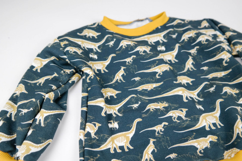 Bluza Dinozaury Bluza Dinozaury