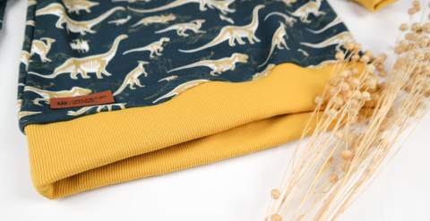 Bluza Dinozaury Bluza Dinozaury