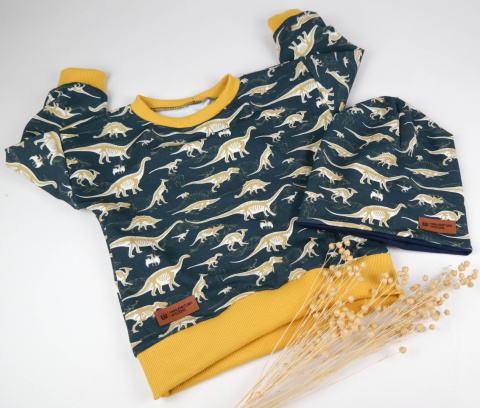 Bluza Dinozaury Bluza Dinozaury