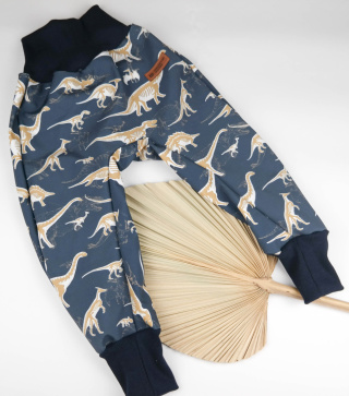 Spodnie softshell: Dino