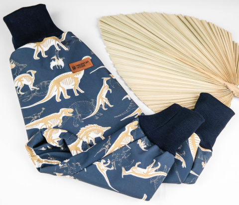 Spodnie softshell: Dino Spodnie softshell: Dino