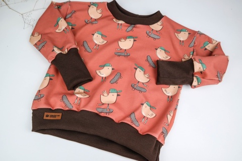 Bluza dziecięca Ptaszki