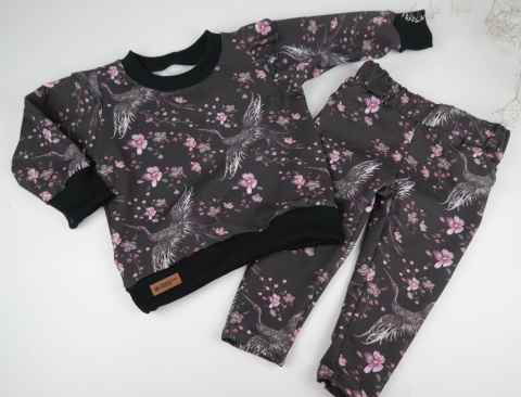 Dres dla dziewczynki: Żurawie